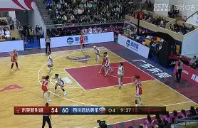 冰球联赛上演强强对话，川蜀貔貅队逆转粤西灰熊队，团队配合流畅；边后卫成为亮点的简单介绍